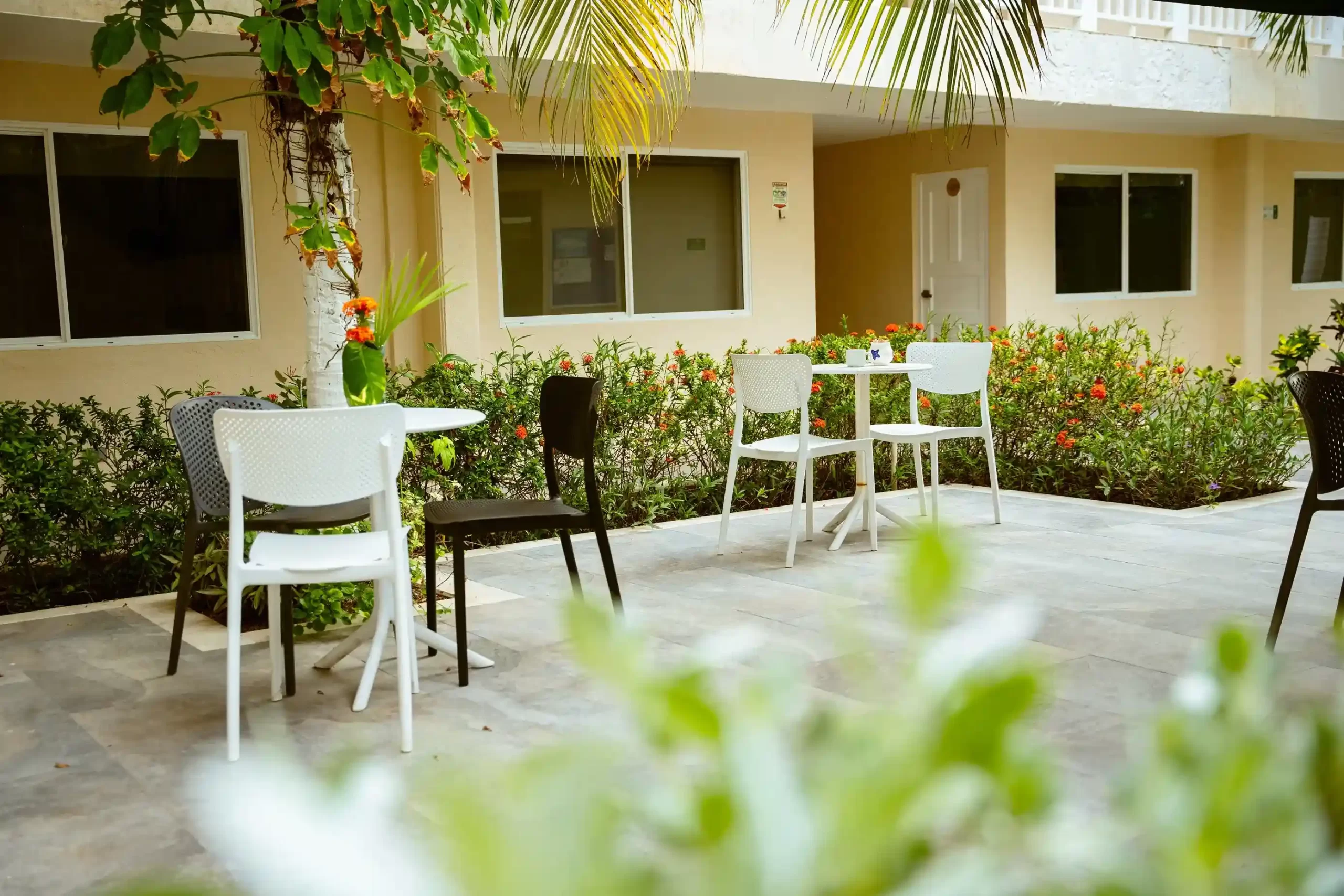 La zona al aire libre del hotel es un espacio diseñado para disfruta de un momento de tranquilidad