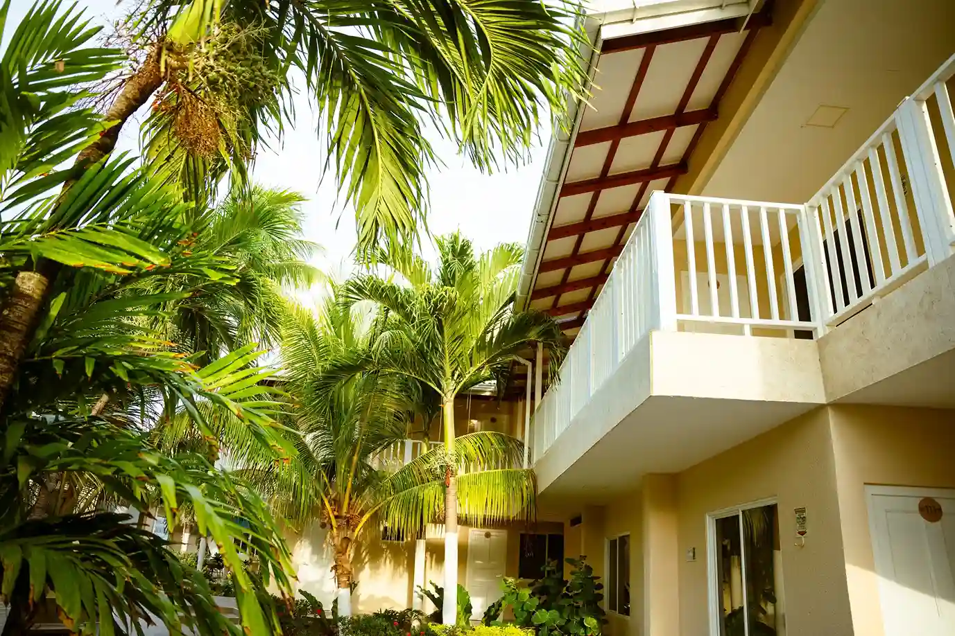 disfruta de la naturaleza durante tu estancia en el hotel donde vas a poder disfrutar de un clima caribeño