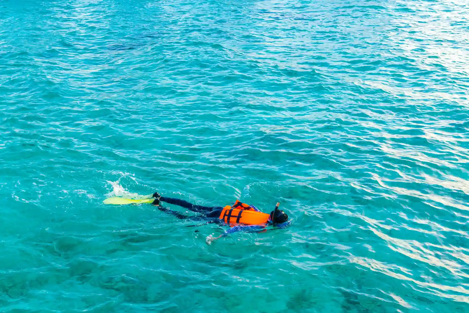 explora la maravillosa vida marina en san andres practicando snorkeling una actividad para disfrutar la belleza caribeña