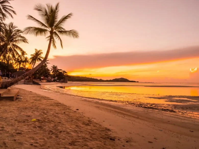 atardecer en la playa de San Andrés donde hay palmera arena y mar